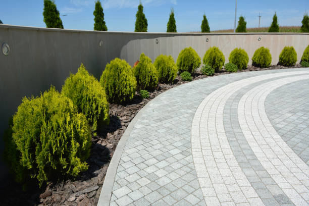 Driveway Repair Near Me in Bel Nor, MO